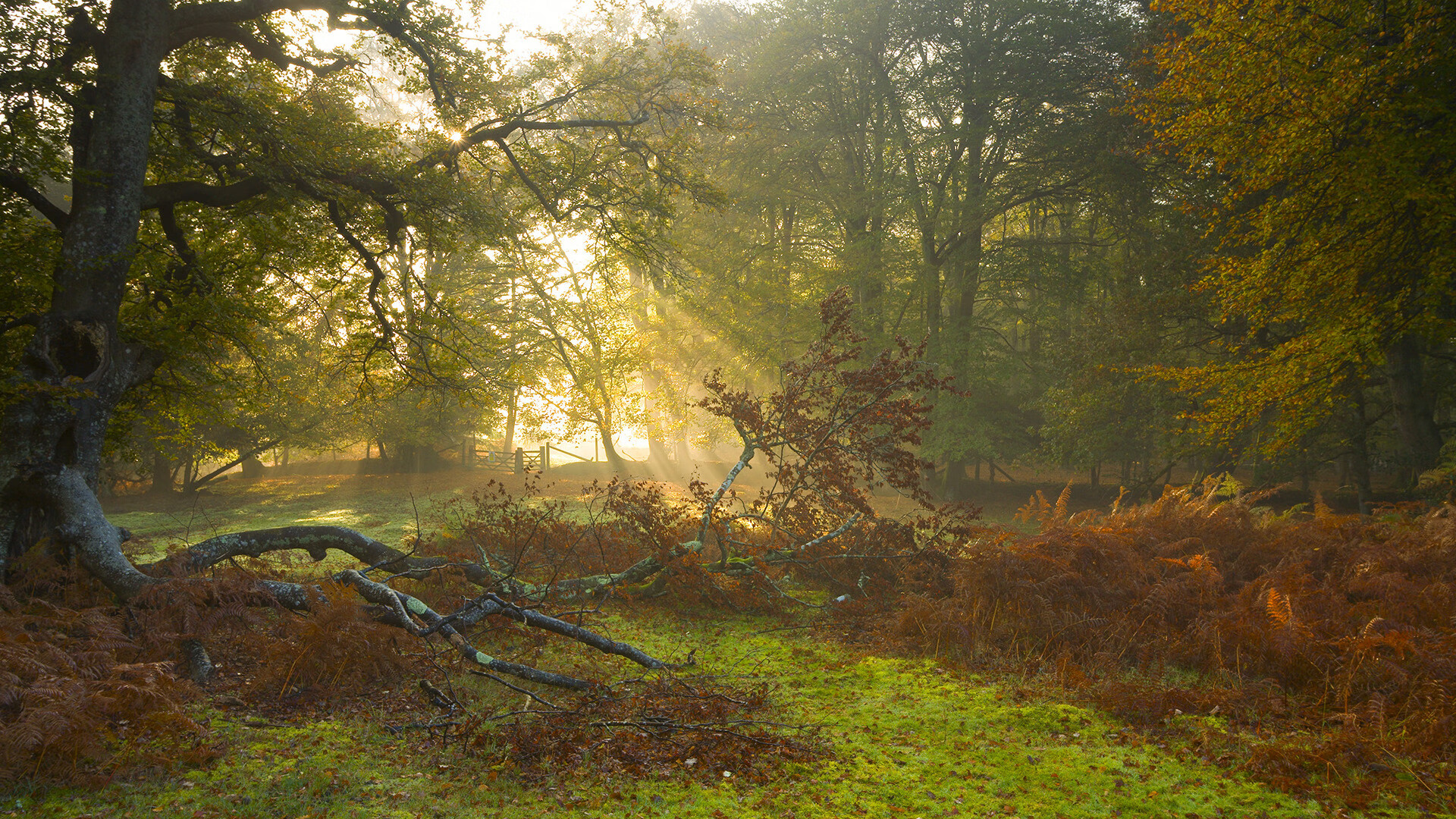 爱游戏官方网站-勇士 triumph over Lakers！，勇士大人想怀上魔王的孩子