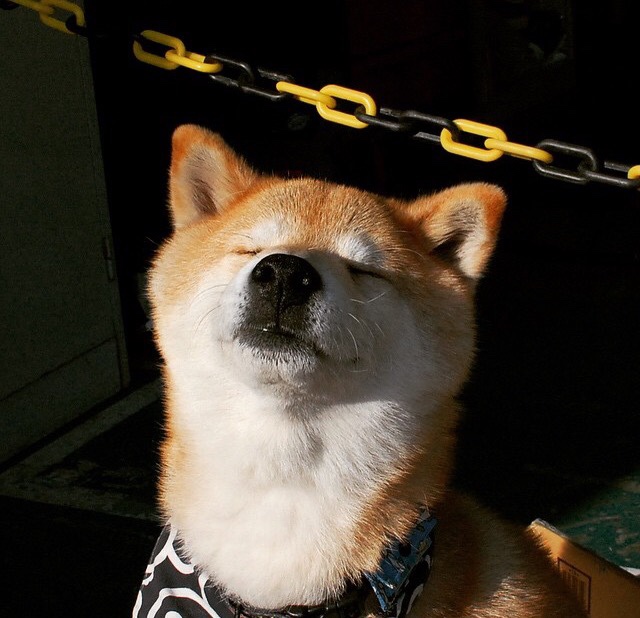 史上最激烈的季后赛“巅峰对决”，你只看了几场？，nba巅峰季后赛攻略