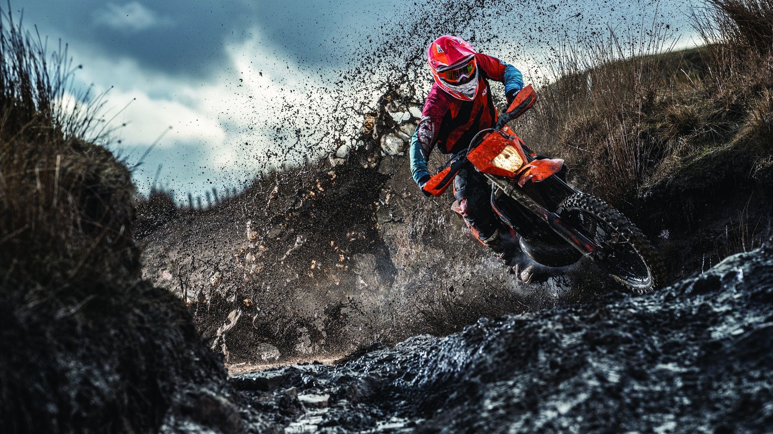 乔·莫伊：全黑队比赛中的“铁壁”，稳定防守让对方毫无机会